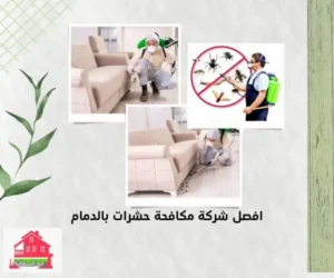 شركة مكافحة حشرات بالدمام 0542436042 3 افضل شركة مكافحة حشرات بالدمام