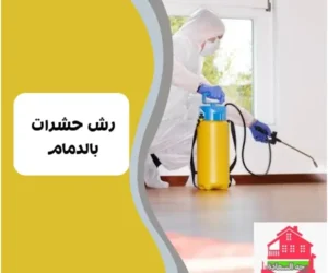 شركة مكافحة حشرات بالدمام 0542436042 2 رش حشرات بالدمام